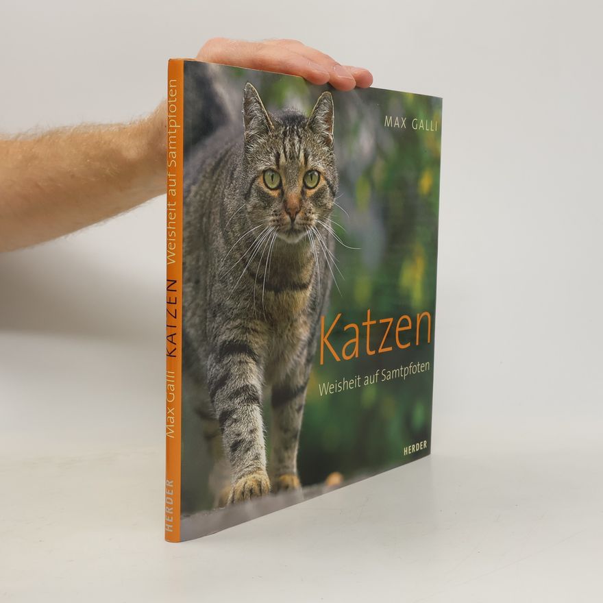 Max Galli Katzen