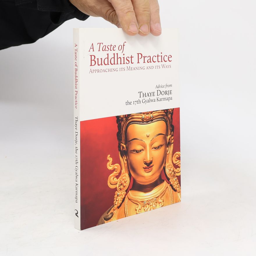 Karmapa Trinley A Taste of Buddhist Practice