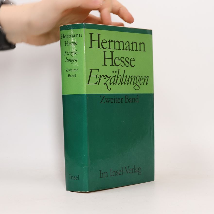 Hermann Hesse Erzählungen 2