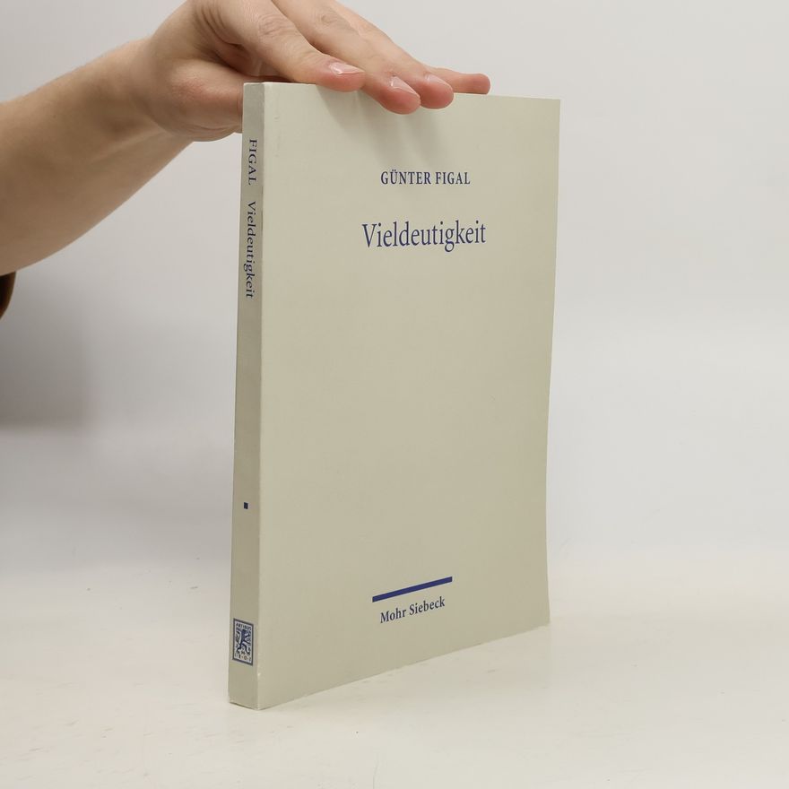 Günter Figal Vieldeutigkeit