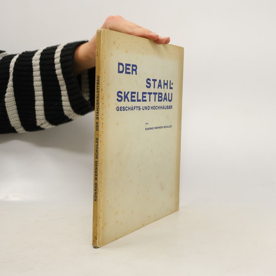 Konrad Werner Schulze Der Stahlskelettbau: Geschäfts-und Hochhäuser