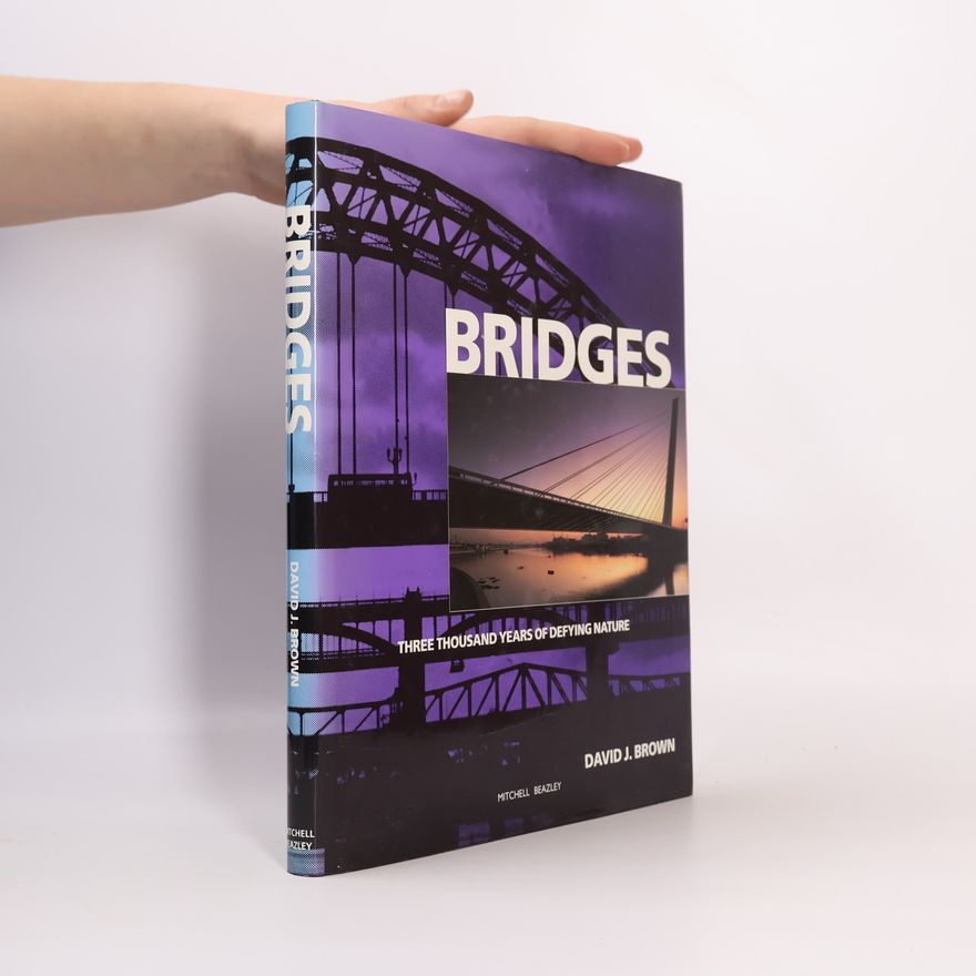 David J. Brown Bridges