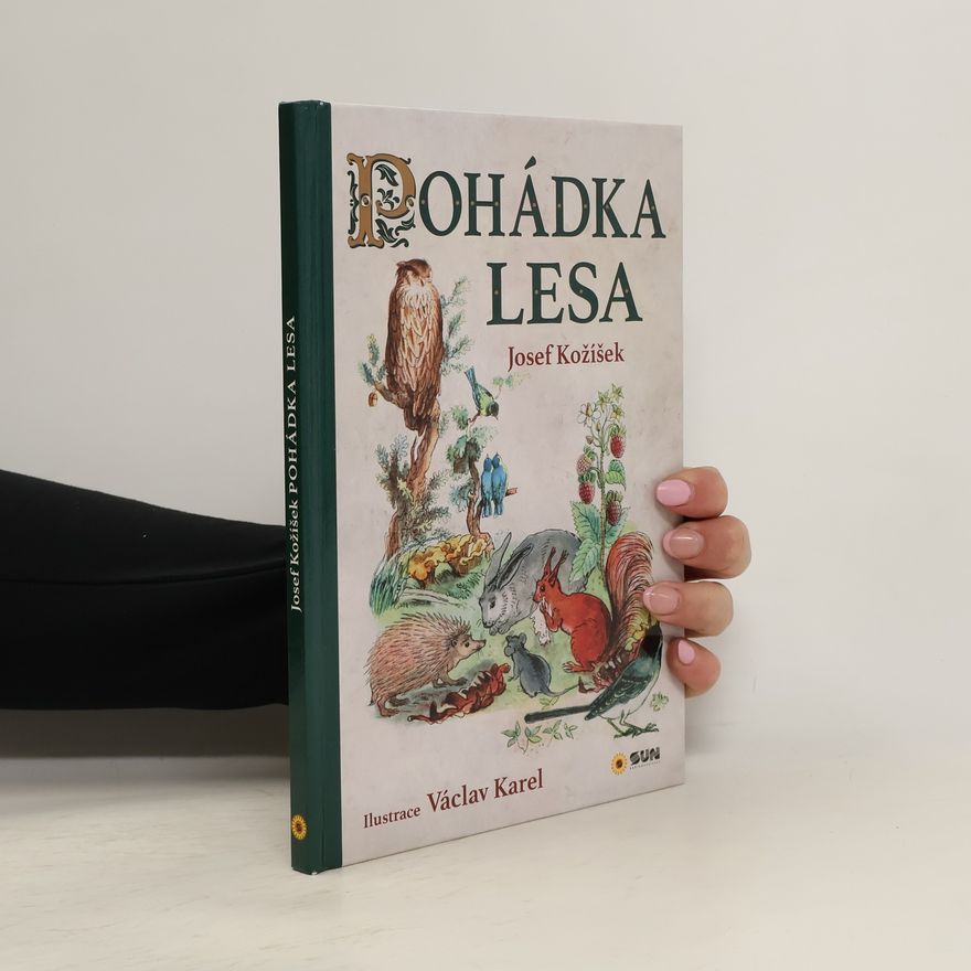 Autorenkollektiv Pohádka lesa