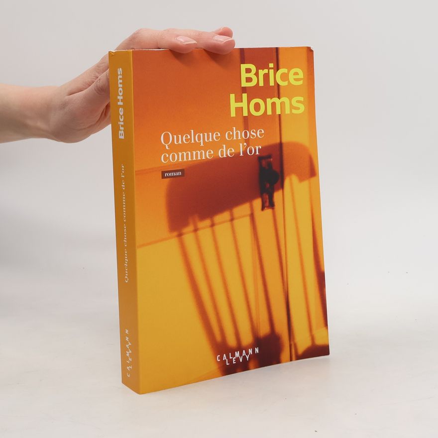 Brice Homs Quelque chose comme de l'or