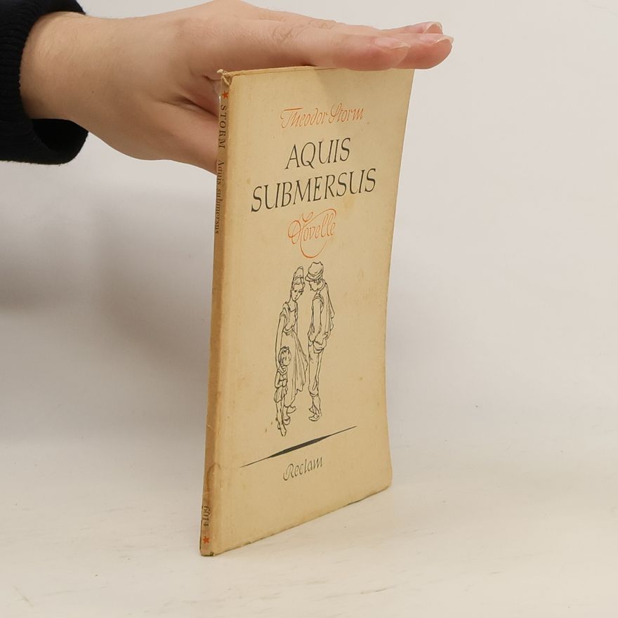 Hans Theodor Woldsen Storm Aquis submersus