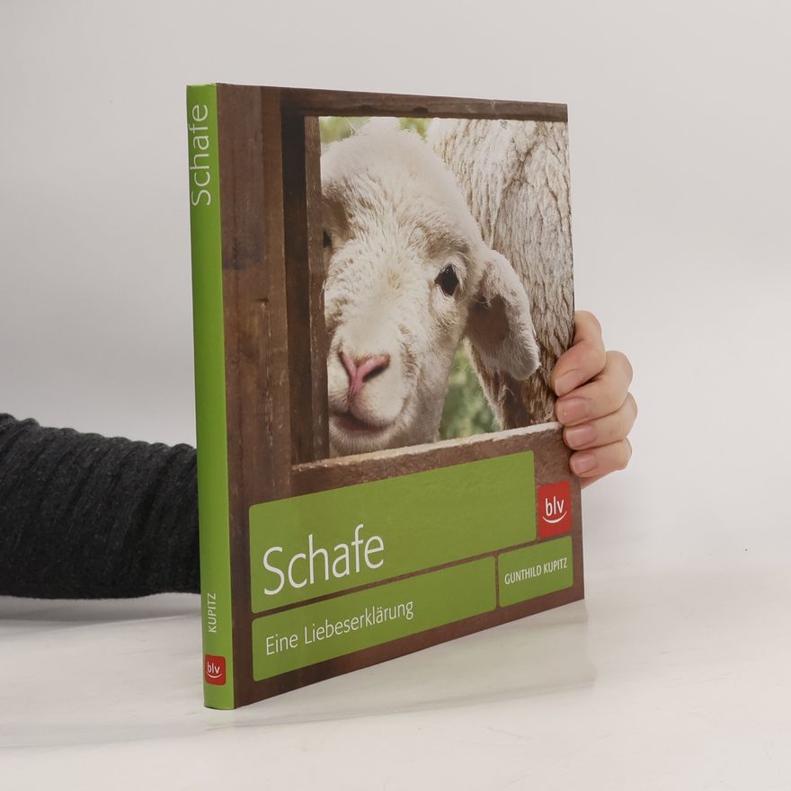 Gunthild Kupitz Schafe