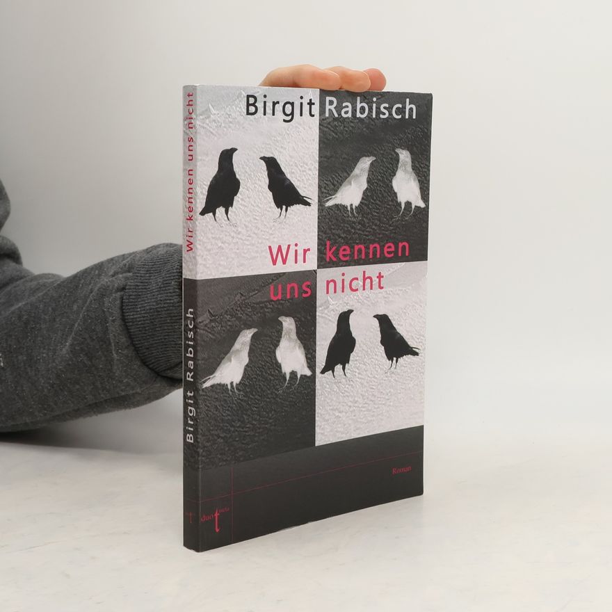 Birgit Rabisch Wir kennen uns nicht