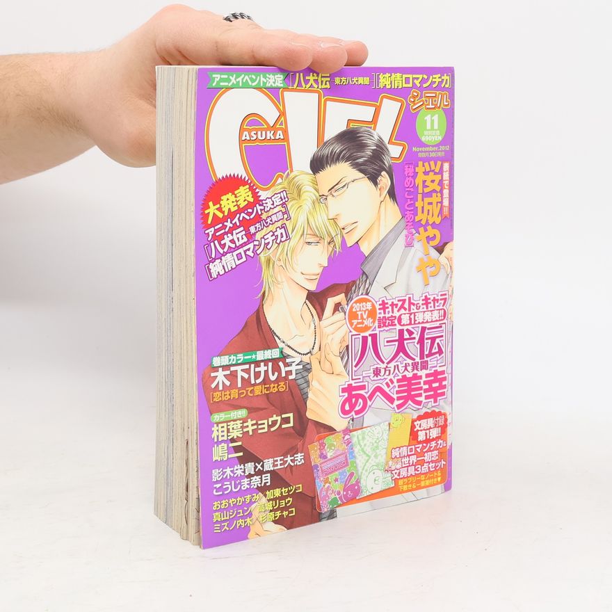 Various authors CIEL 11