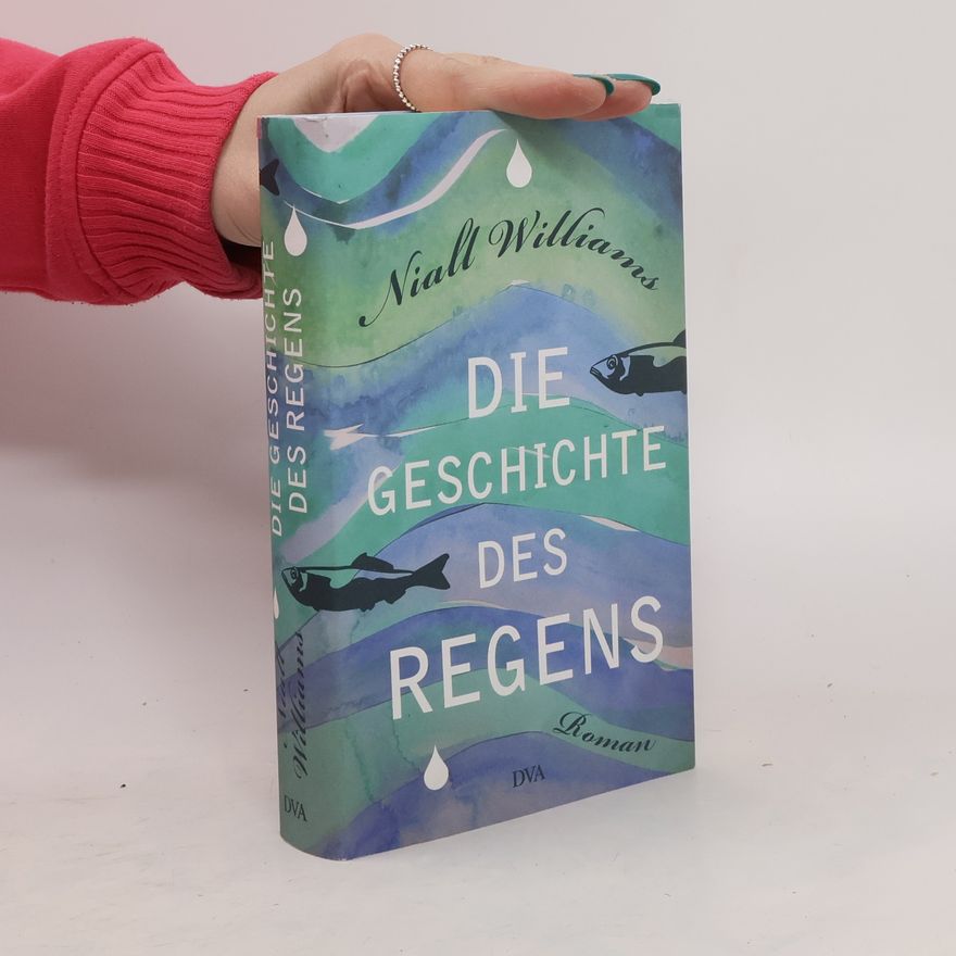 Niall Williams Die Geschichte des Regens