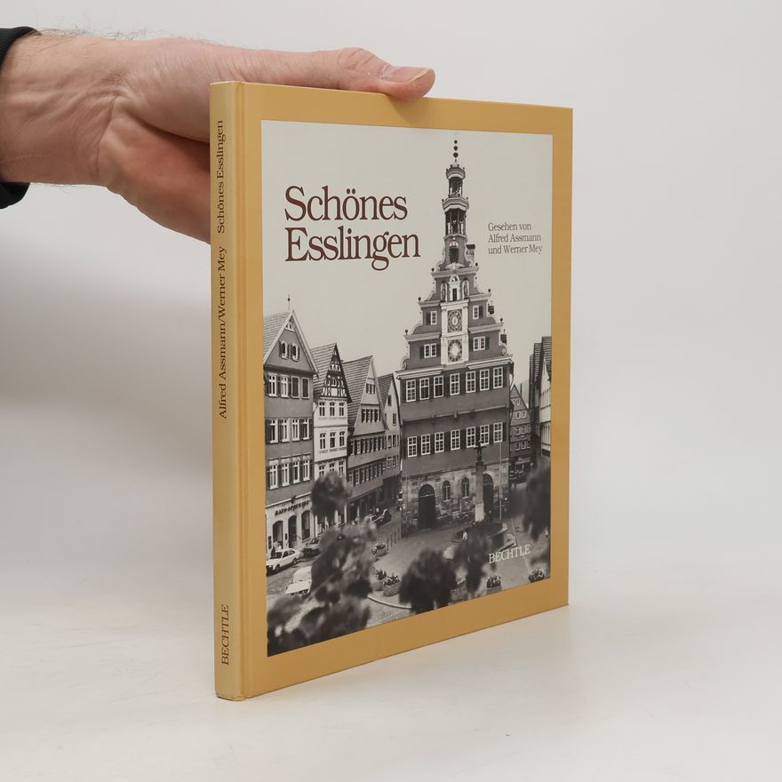 Alfred Assmann Schönes Esslingen