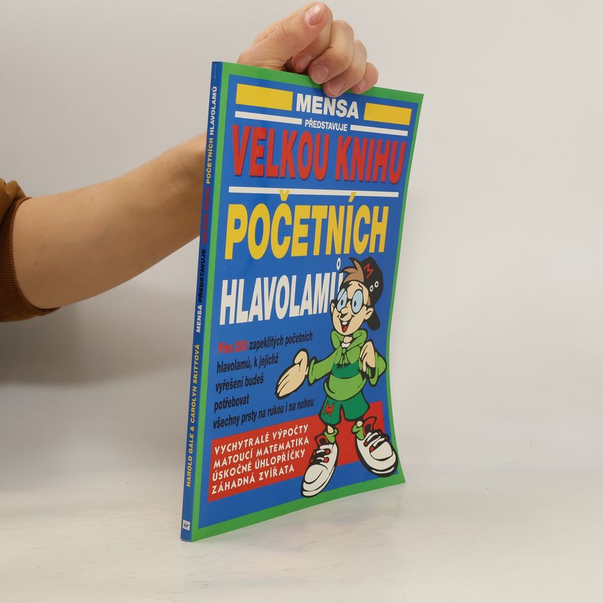 Carolyn Skitt Velká kniha početních hlavolamů