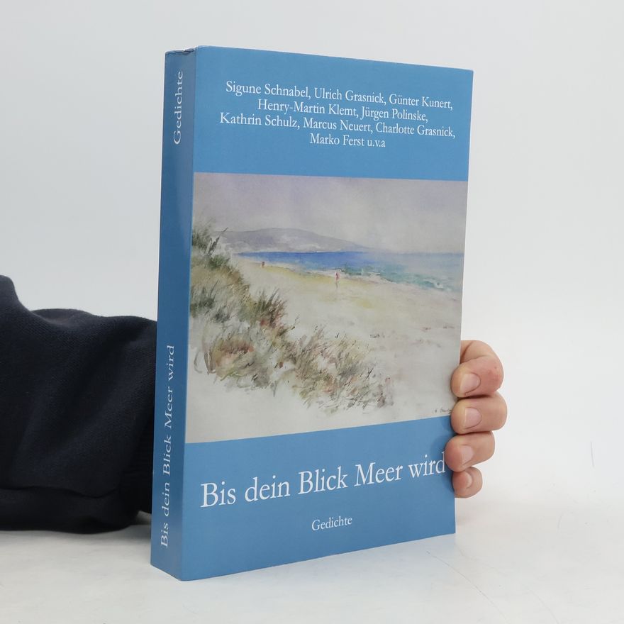 Sigune Schnabel Bis dein Blick Meer wird