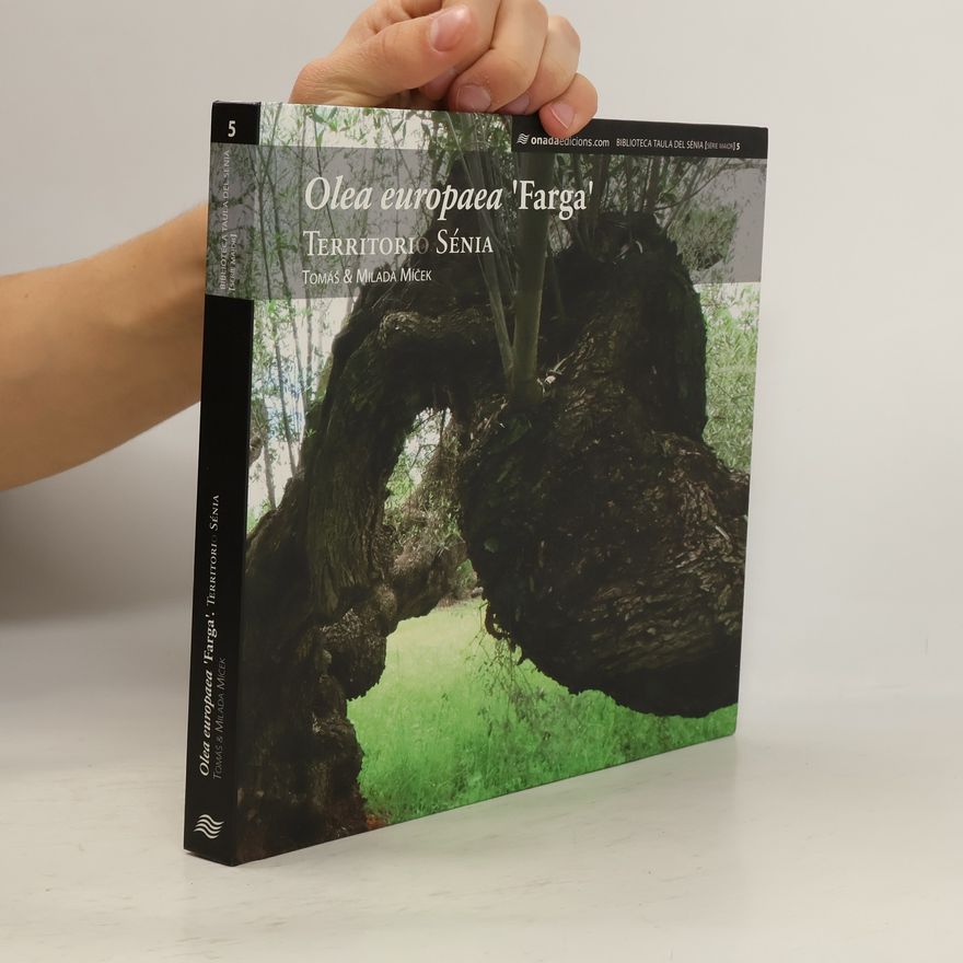 Mancomunitat de la Taula del Sénia Olea europaea Farga