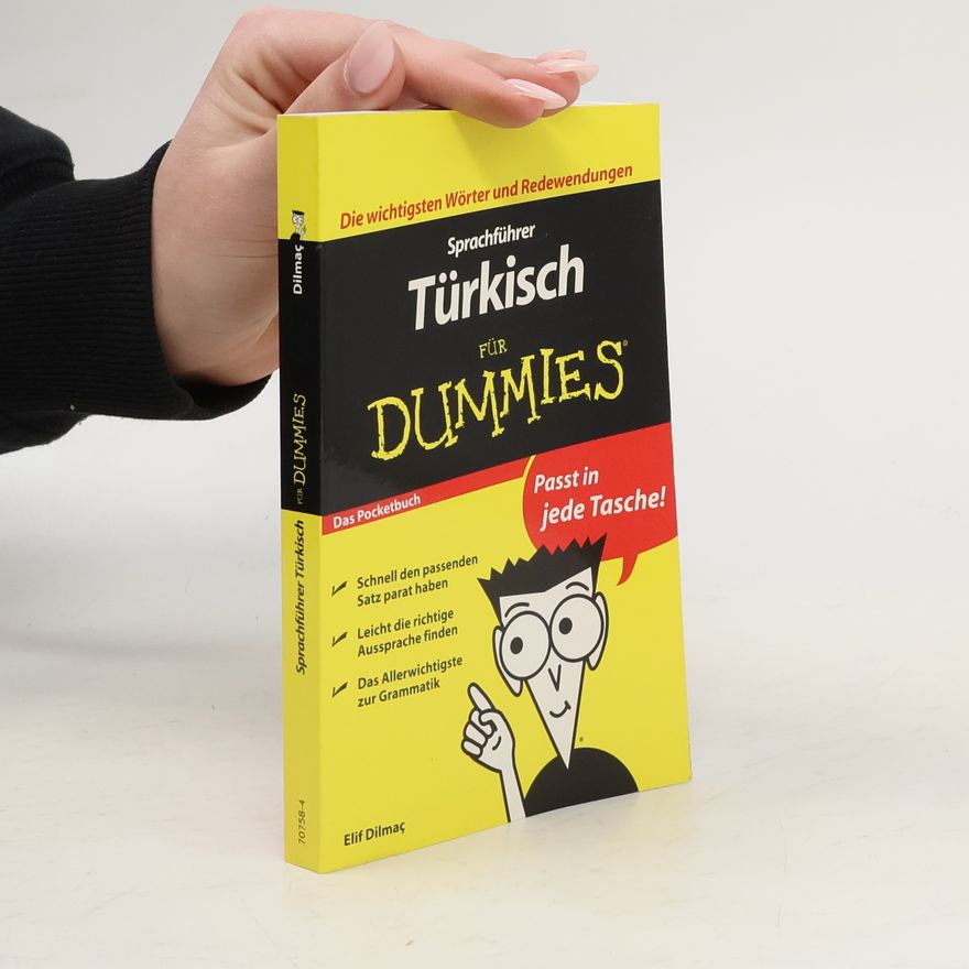 Elif Dilmac Sprachführer Türkisch für Dummies