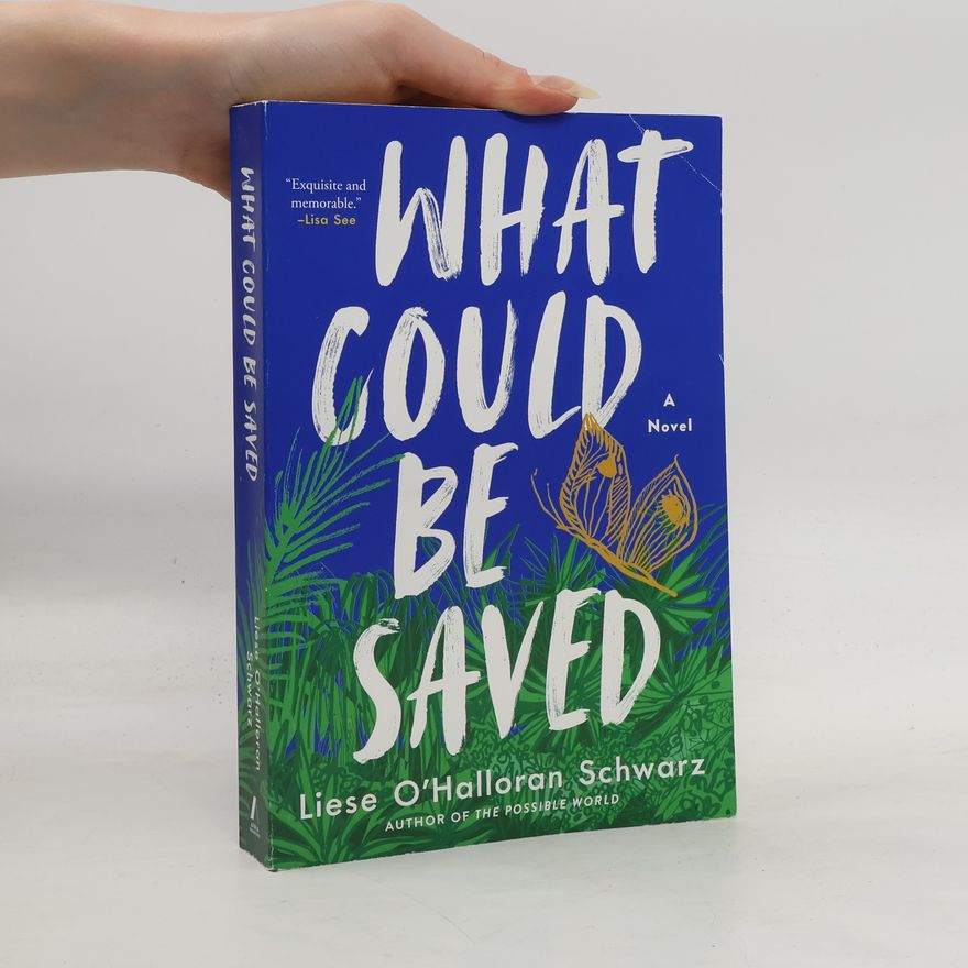 Liese O'Halloran Schwarz What Could Be Saved