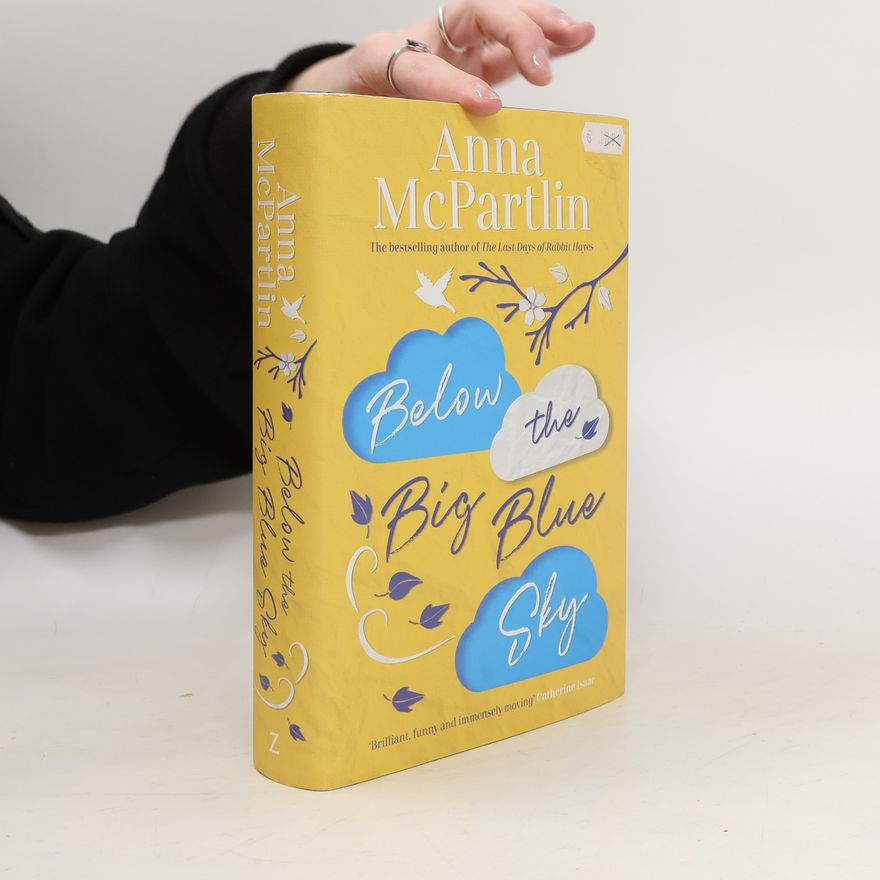 Anna McPartlin Below the Big Blue Sky