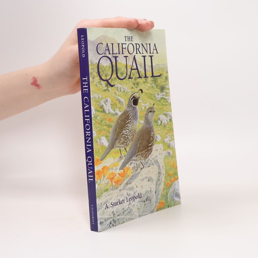 Keith Hansen The California Quail