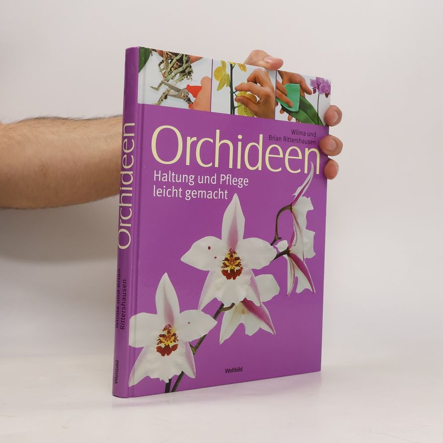 Wilma Rittershausen Orchideen