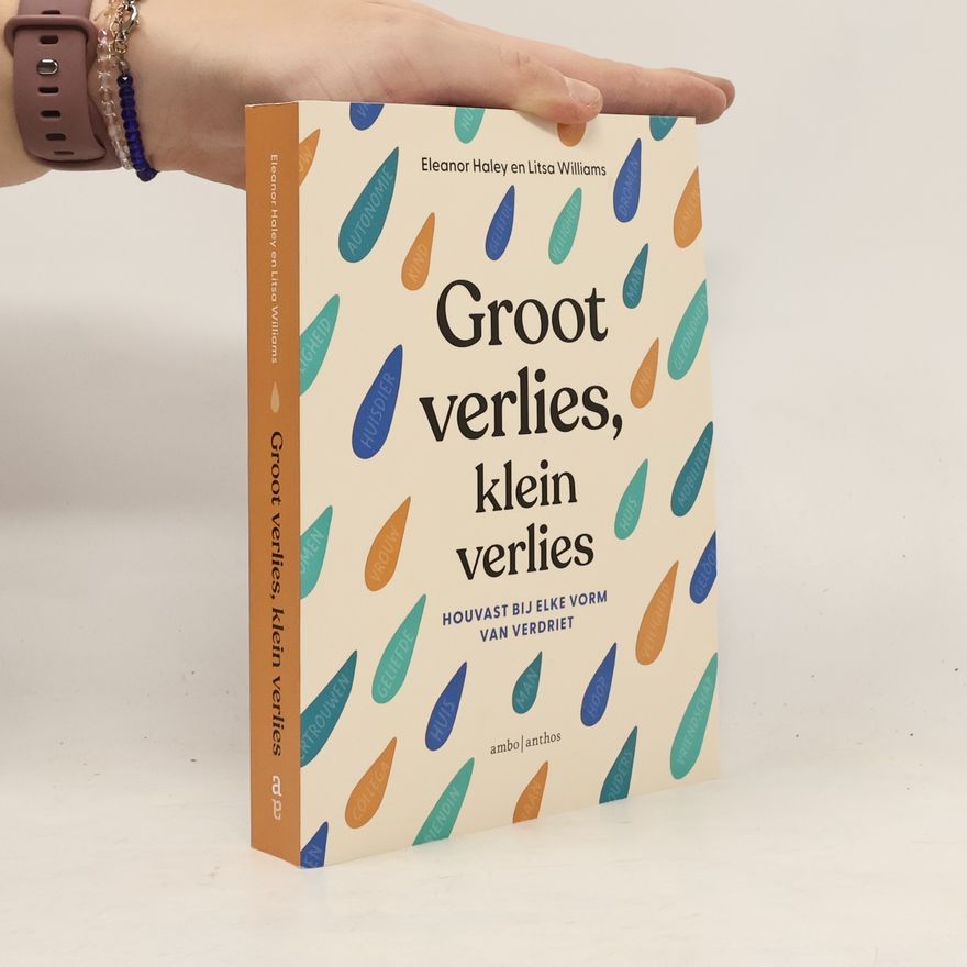 Litsa Williams Groot verlies, klein verlies - Houvast bij elke vorm van verdriet