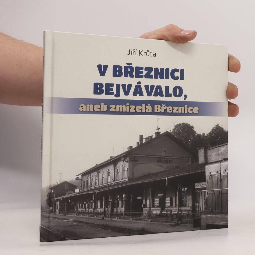 Jiří Krůta V Březnici bejvávalo, aneb, Zmizelá Březnice