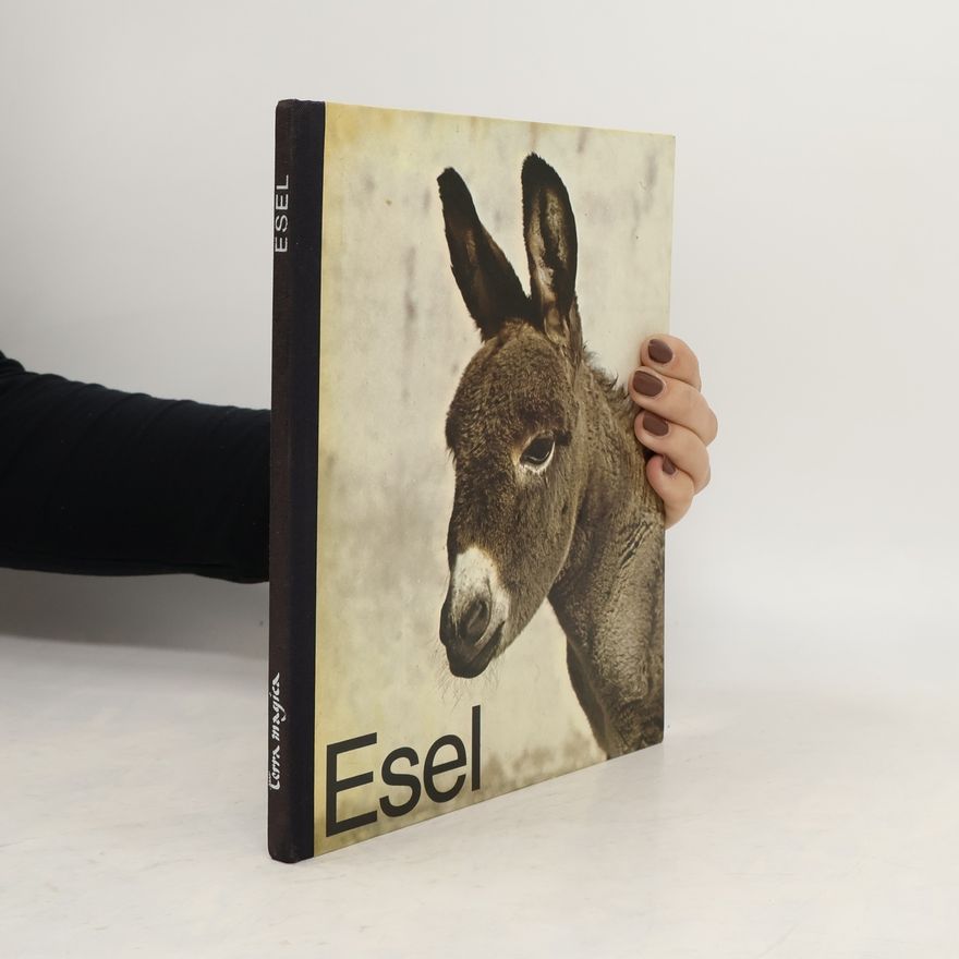 Hanns Reich Esel