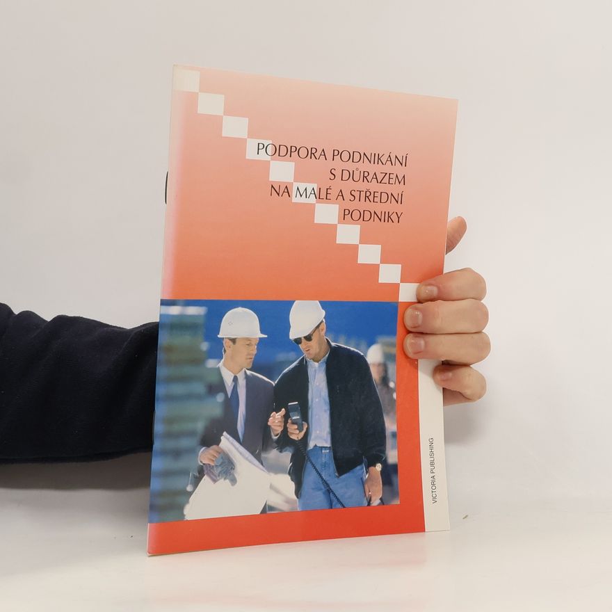 Kolektiv autorů Podpora podnikání s důrazem na malé a střední podniky