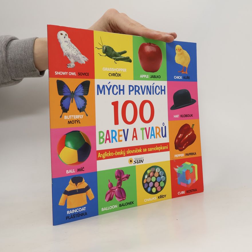 Collectif d'auteurs Mých prvních 100 barev a tvarů