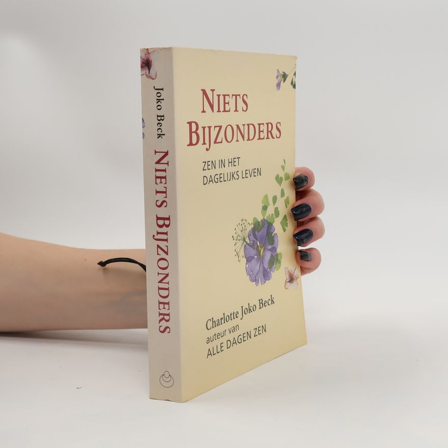 Joko Beck Niets bijzonders / druk 1