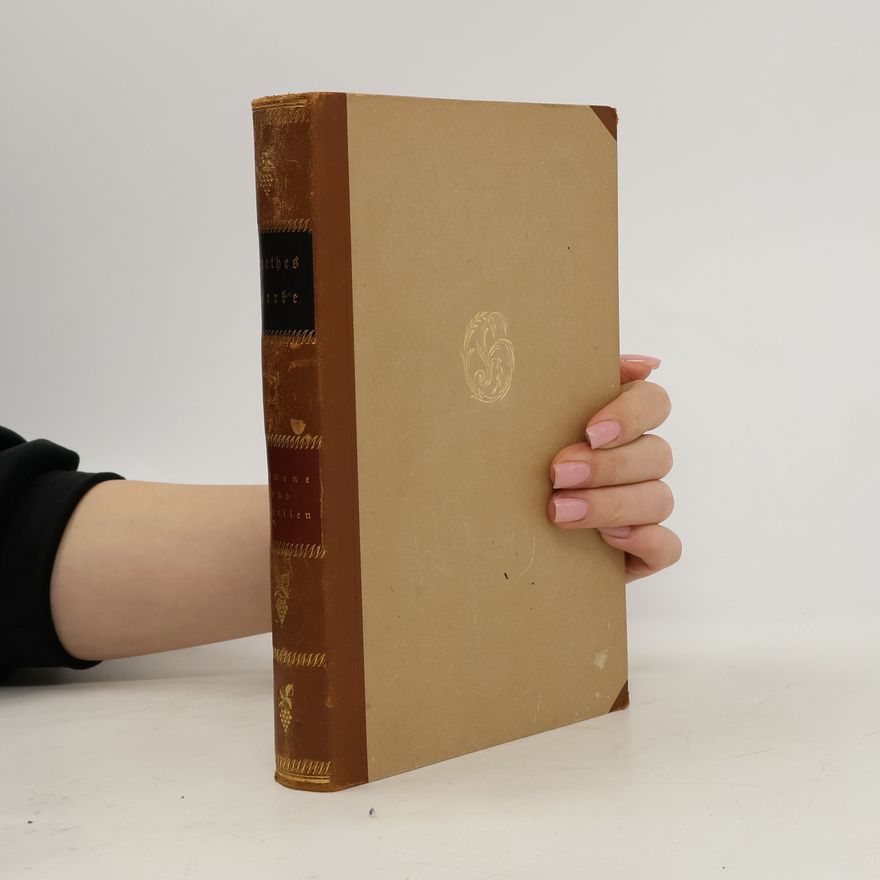 Johann Wolfgang von Goethe Goethe Werke 3. Band. Goethe Romane und Novellen
