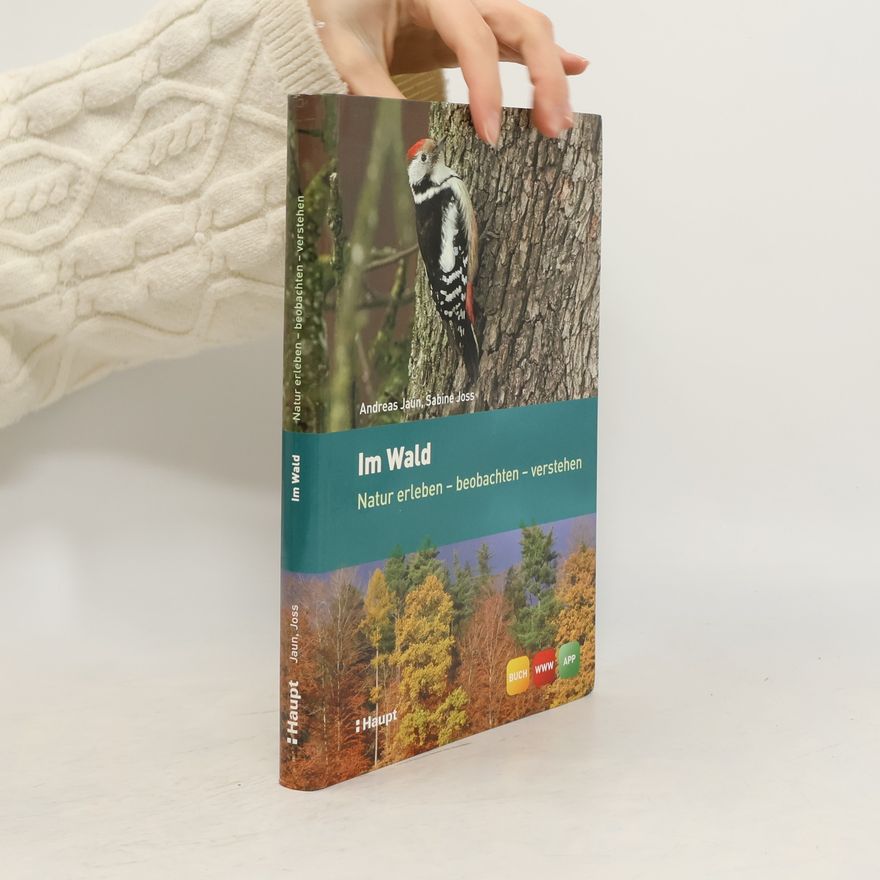 Andreas Jaun Im Wald
