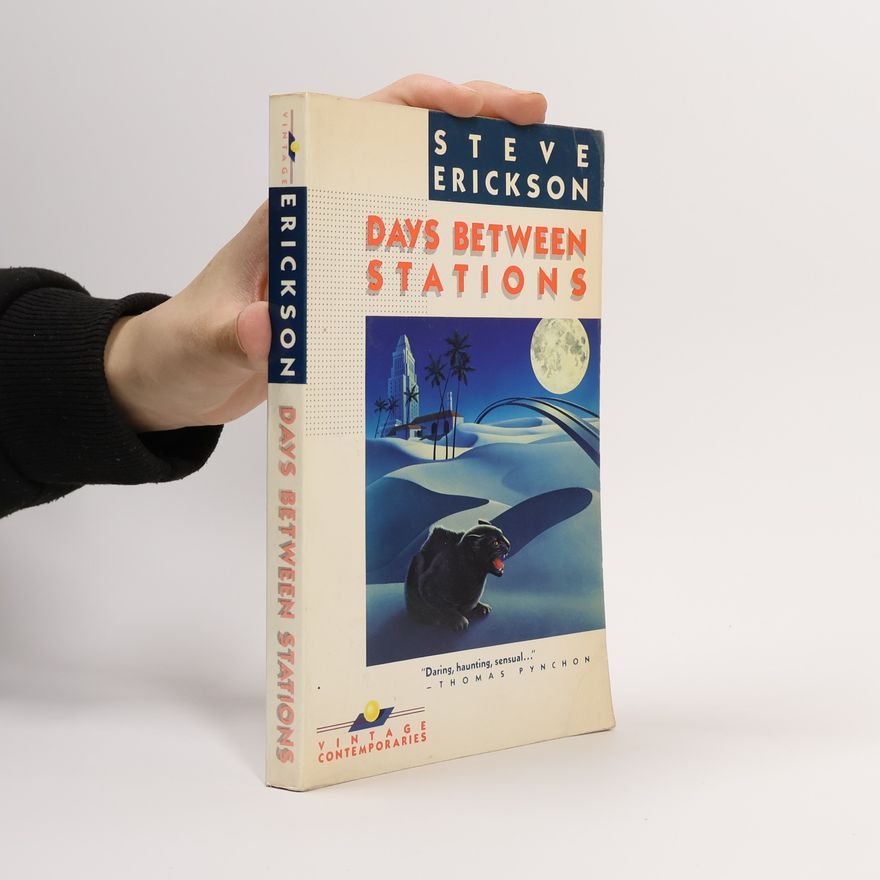 Steve Erickson Days Between Stations