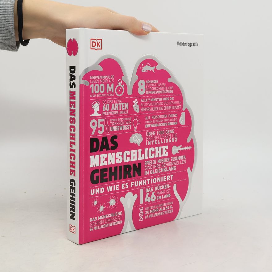Catherine Collin #dkinfografik. Das menschliche Gehirn und wie es funktioniert