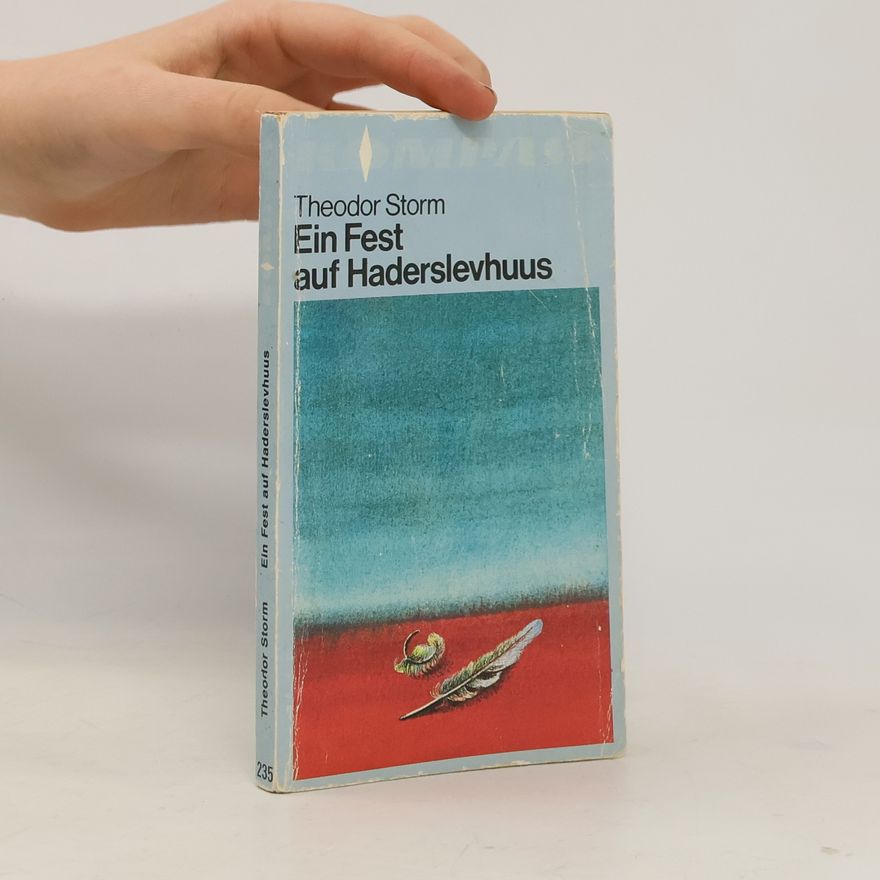 Theodor Storm Ein Fest auf Haderslevhuus