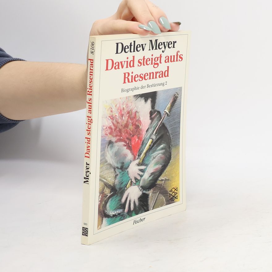 Detlev Meyer David steigt aufs Riesenrad