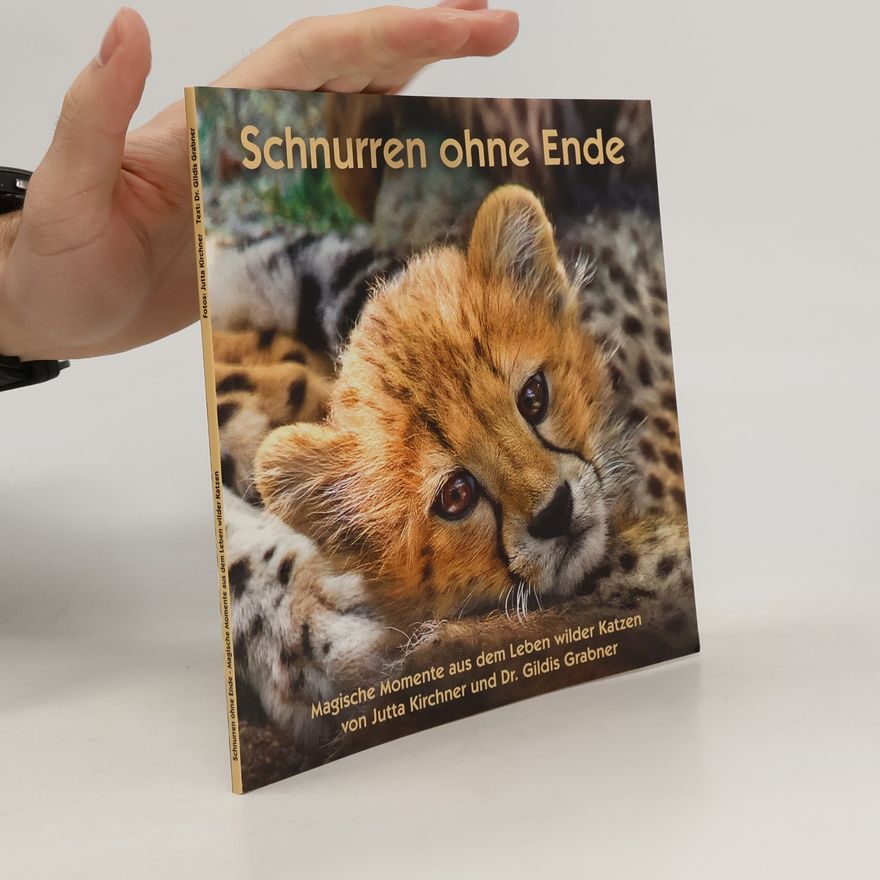 Gildis Grabner Schnurren ohne Ende