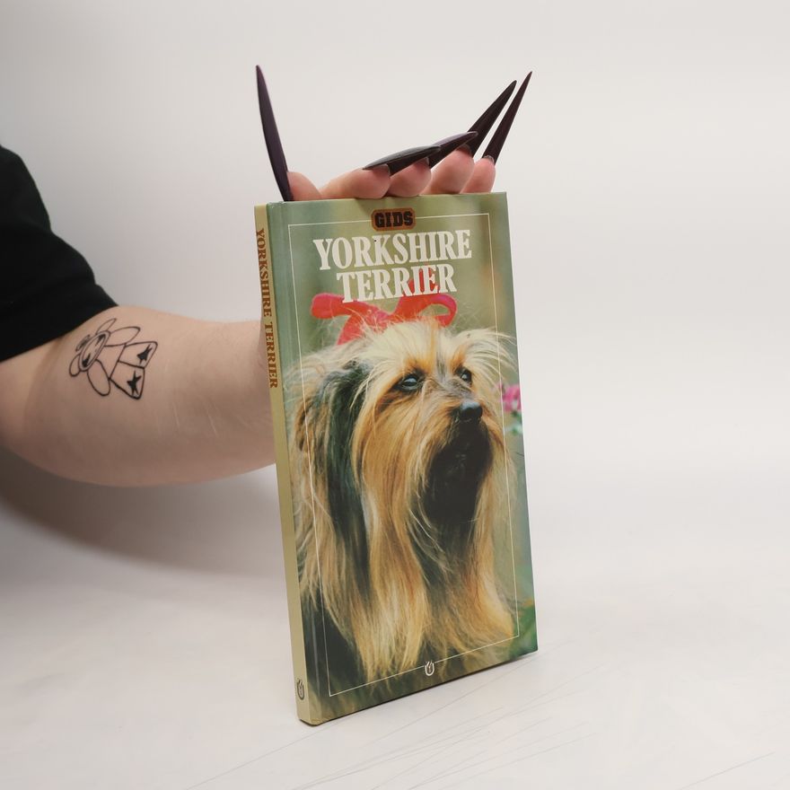 Jackie Ransom Yorkshire Terrier