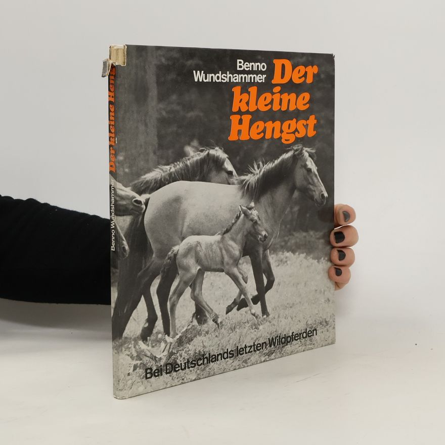 Benno Wundshammer Der kleine Hengst