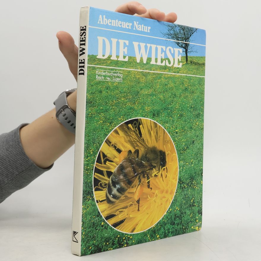 Maria G. Aliverti Die Wiese