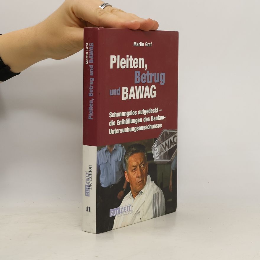 Martin Graf Pleiten, Betrug und BAWAG