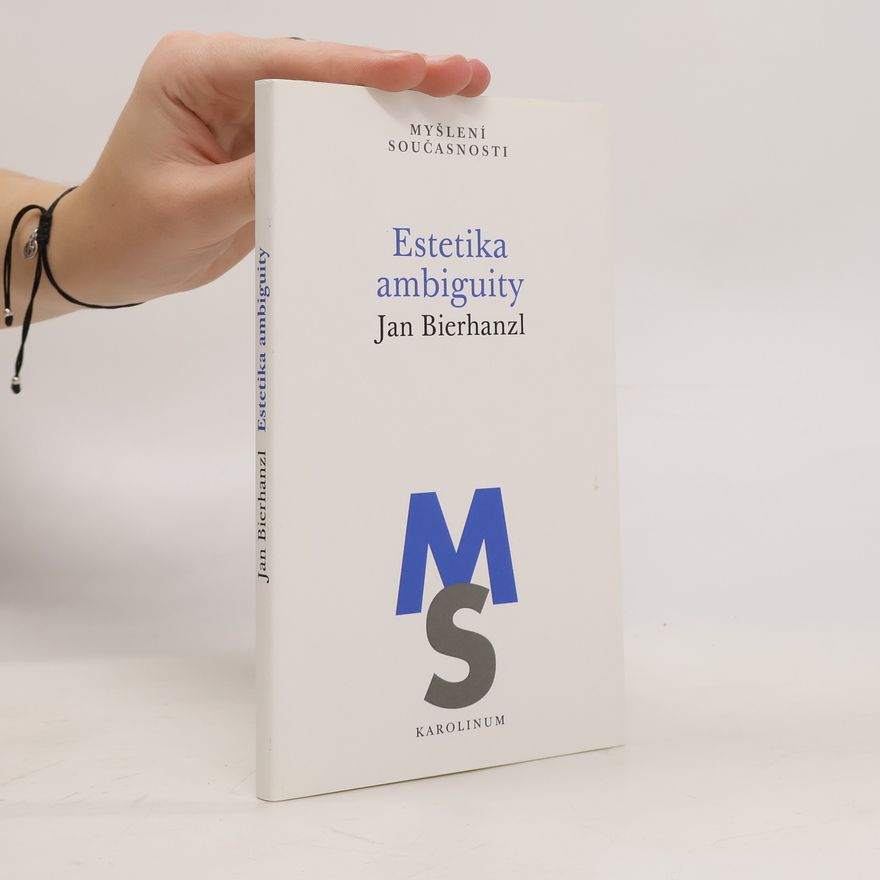 Jan Bierhanzl Estetika ambiguity