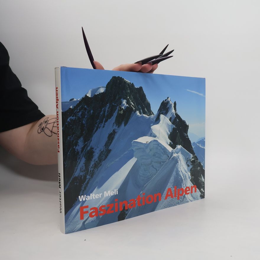 Walter Meli Faszination Alpen