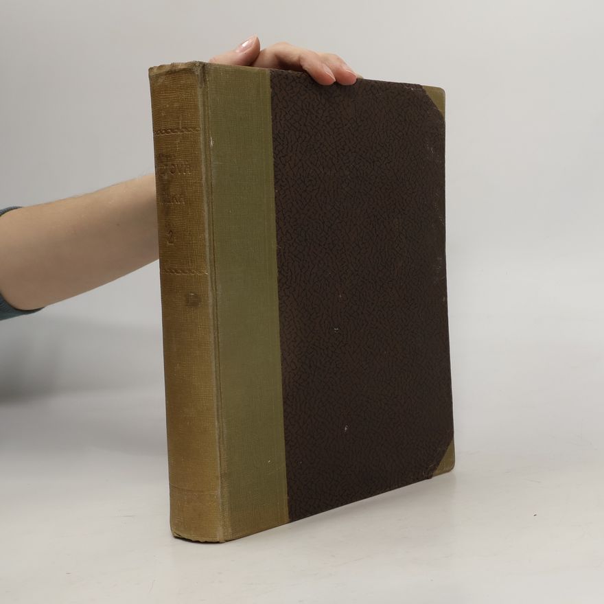 Autorenkollektiv Světová válka 1914-1916. Díl III.
