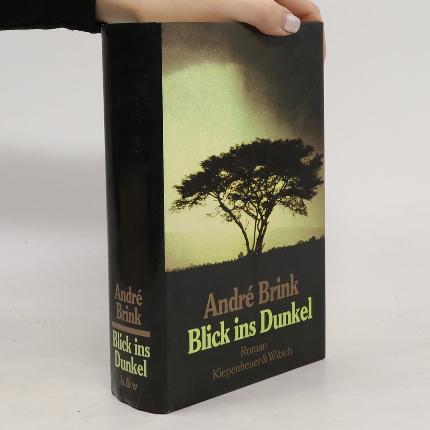 André Brink Blick ins Dunkel