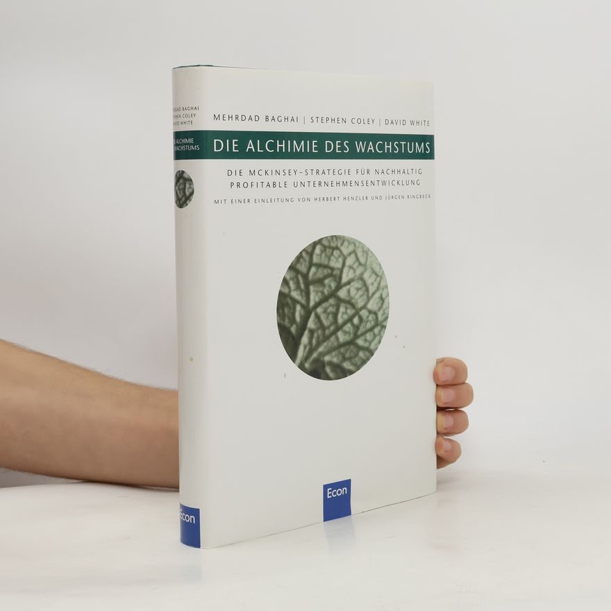 Mehrdad Baghai Die Alchimie des Wachstums