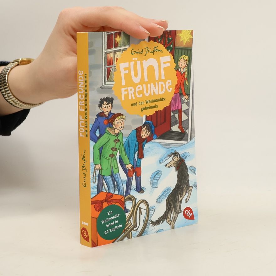 Enid Blyton Fünf Freunde und das Weihnachtsgeheimnis