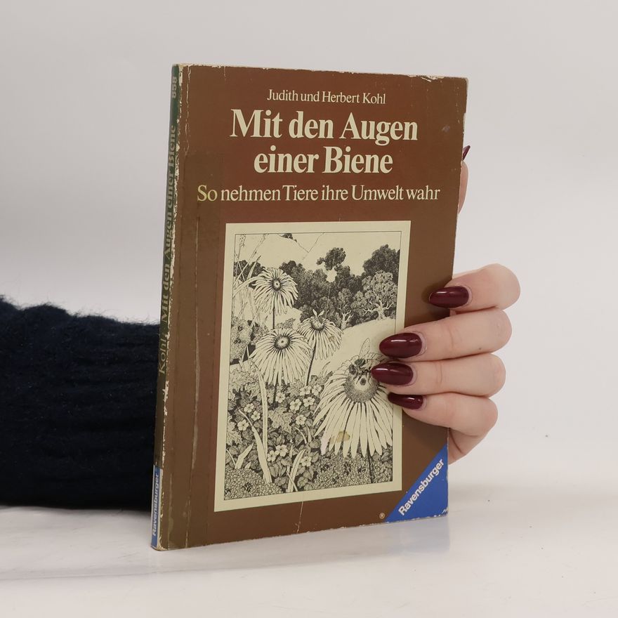 Judith Kohl Mit den Augen einer Biene