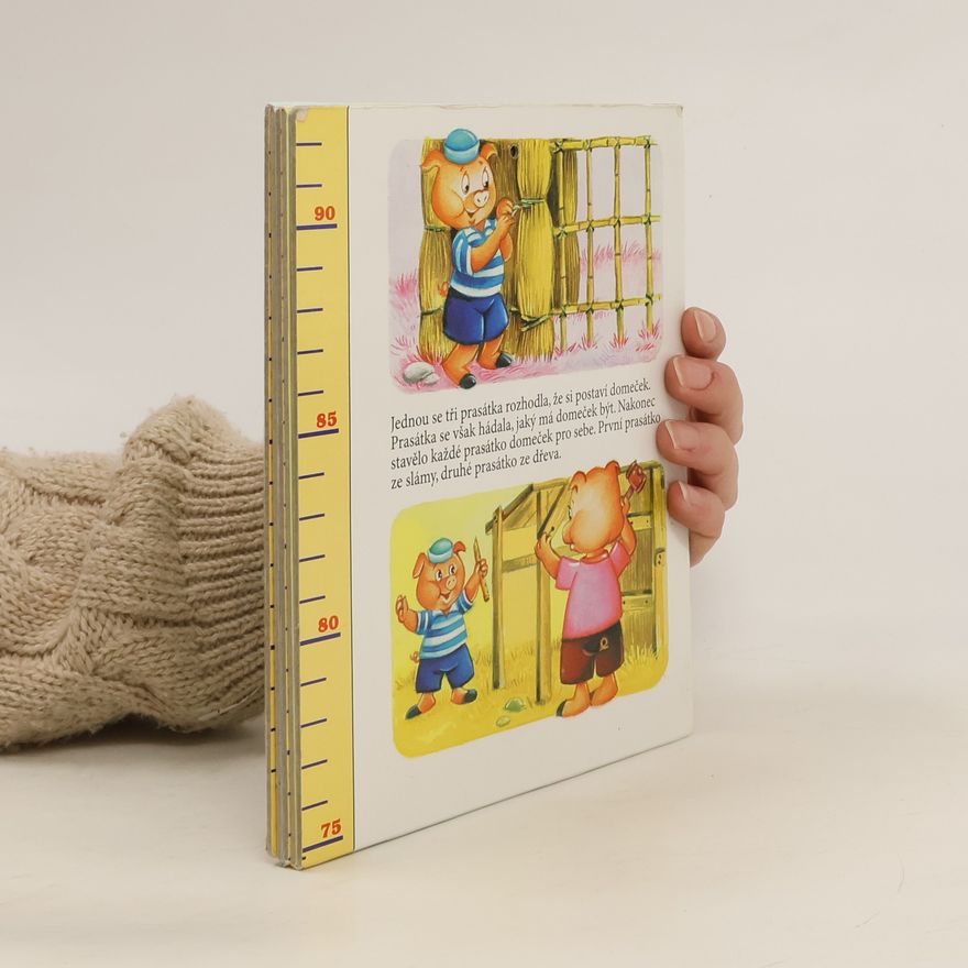 Autorenkollektiv Dětský metr. 10 Height Chart
