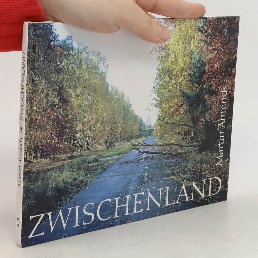 Martin Ahrends Zwischenland