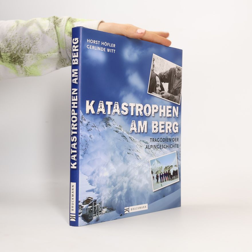 Gerlinde Witt Katastrophen am Berg