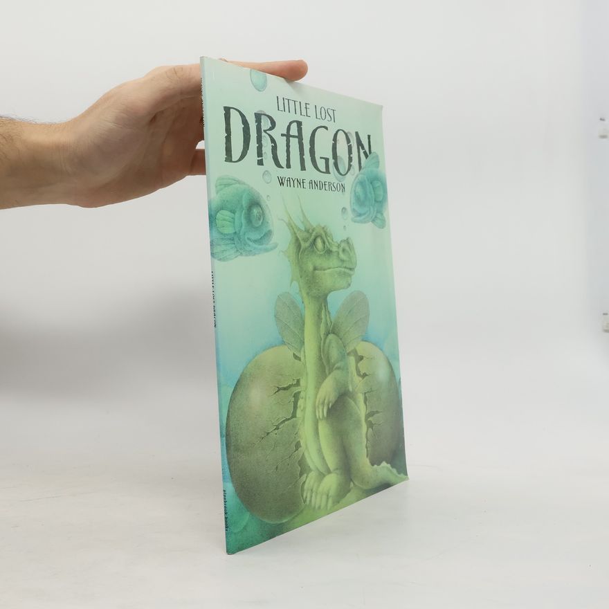 Wayne Anderson Little Lost Dragon